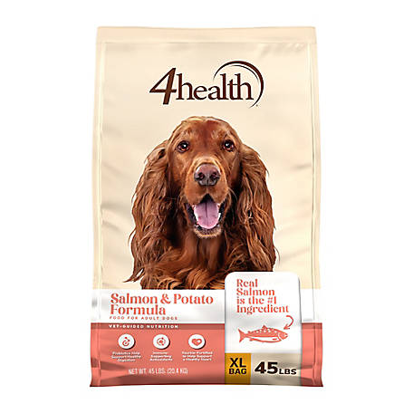 4health with Wholesome Grains Adult Salmon and Potato Formula Dry Dog Food