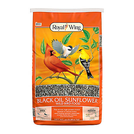 Royal Wing Black Oil Sunflower Wild Bird Food
