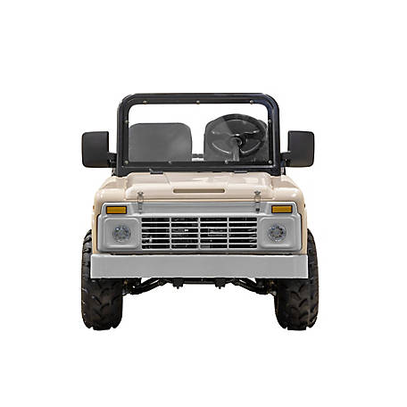 Massimo Mini Truck