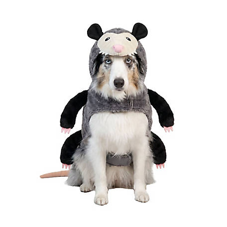 Retriever Opossum Dog Costume