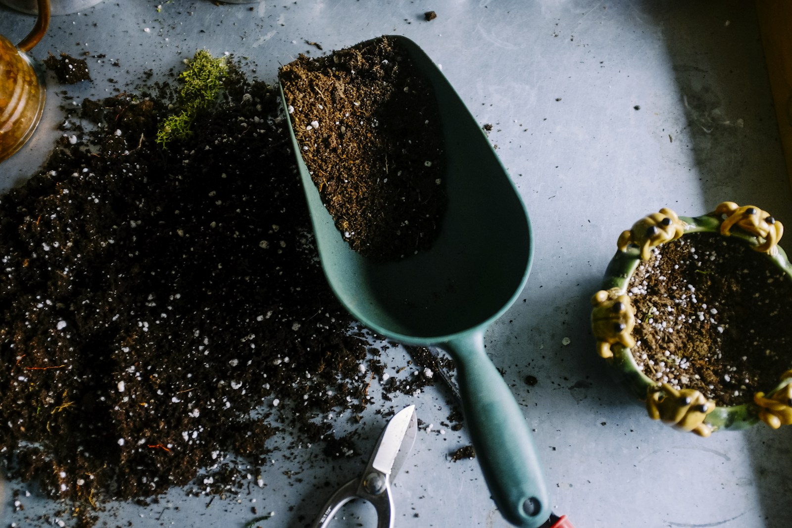 Plants and gardening essentials