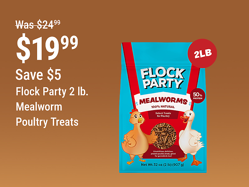 Tractor Supply Company promotion. Flock Party 2 pound mealworm poultry treats now 19.99, was 24.99, save 5 dollars. Image shows a bag of Flock Party Mealworms poultry treats on a brown background.