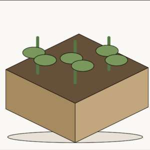 Raised Garden Bed illustrative sample